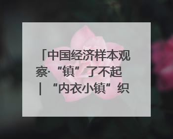 中国经济样本观察·“镇”了不起｜“内衣小镇”织出500亿元“里子产业”